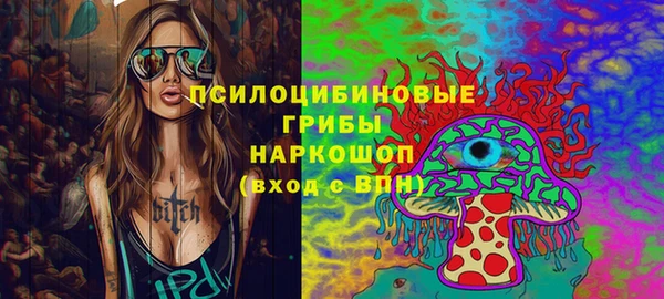 герыч Ельня