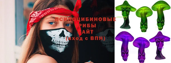 герыч Ельня