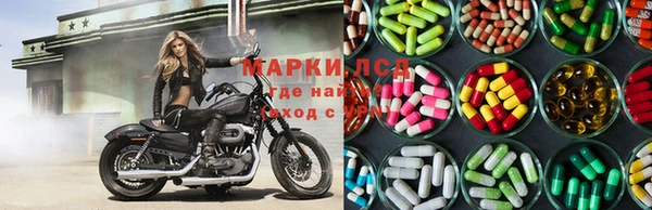 PSILOCYBIN Елизово